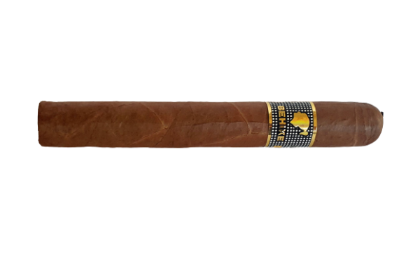 Cohiba BHK56 Vintage cigar 2012