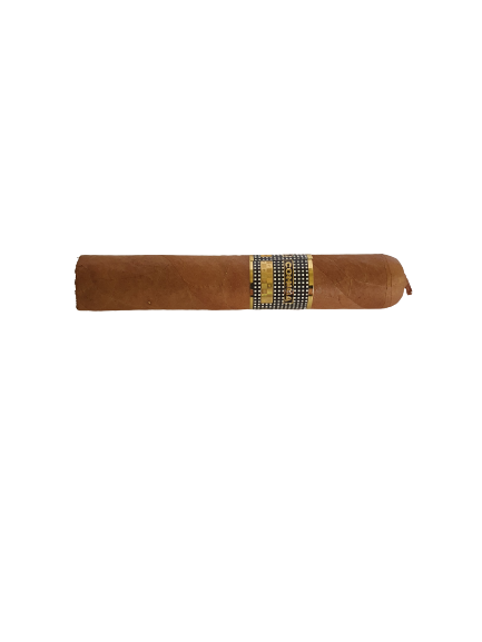 Cohiba_BHK52 cigar view