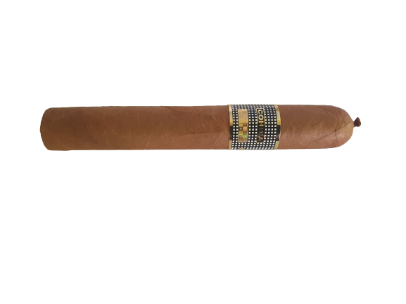 Cohiba_BHK54 cigar rear view