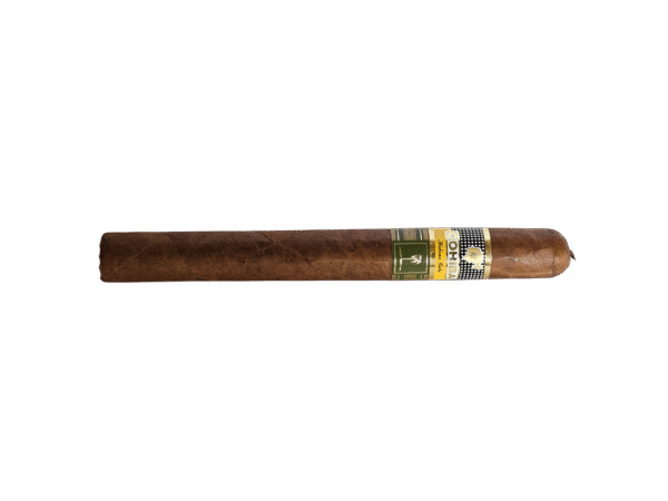 Cohiba Behike 52 Humidor single cigar