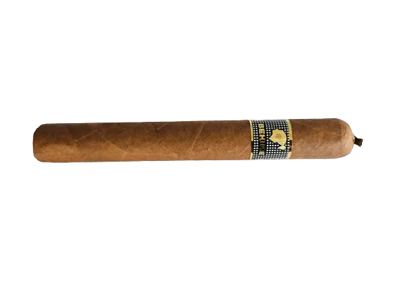 Cohiba BHK58 Zigarre