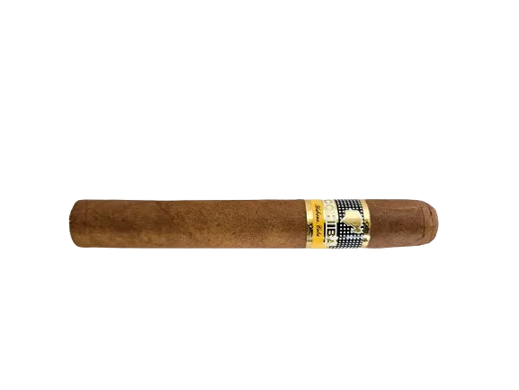 Cohiba_Siglo_VI_cigar1 - smoke.ch Cohiba Siglo VI - Cigar