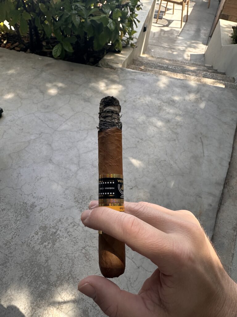 IMG_0910 - smoke.ch Cohiba Ideales first third