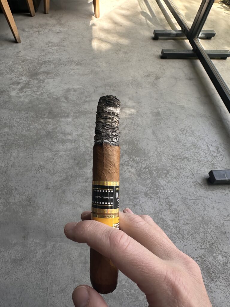 IMG_0912 - smoke.ch Cohiba Ideales second third