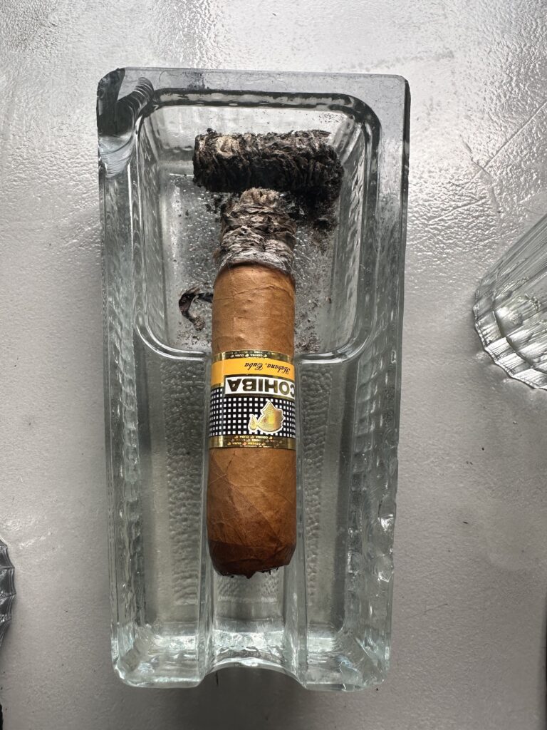 IMG_0914 - smoke.ch Cohiba Ideales final third