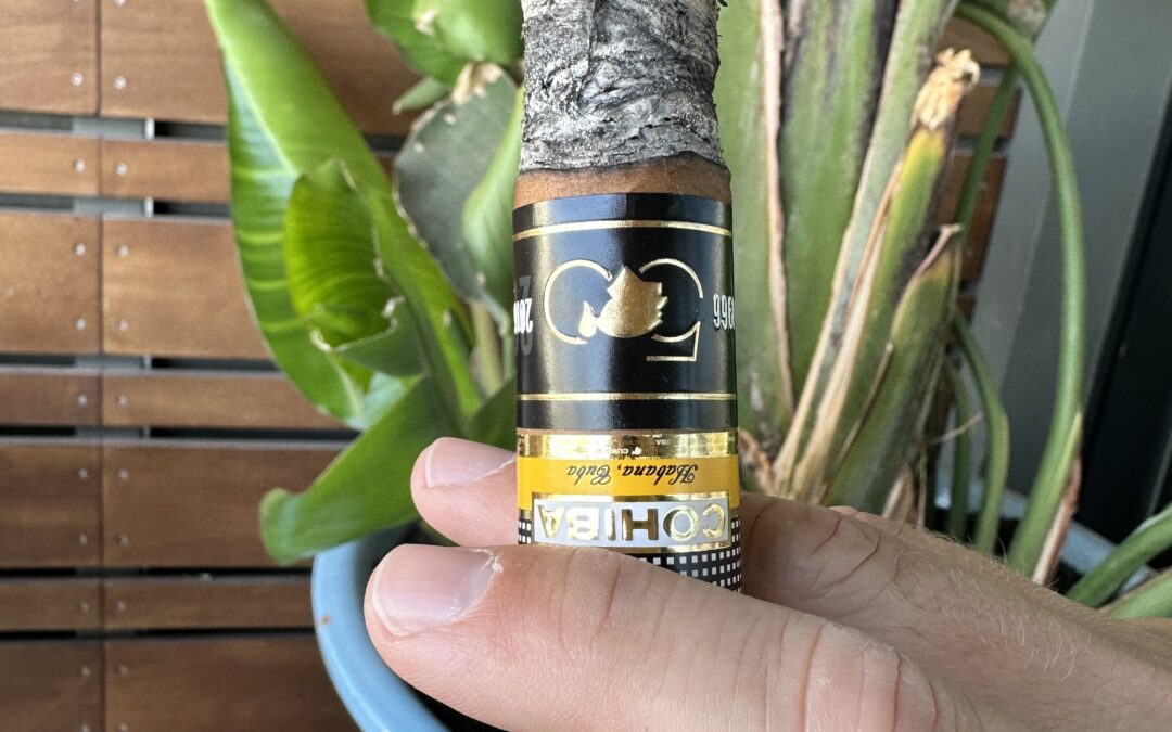 Review - Cohiba Majestuosos 1966