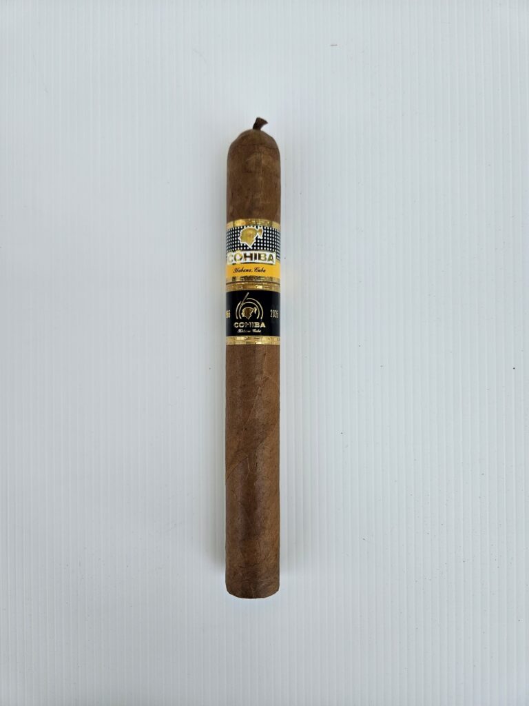 Single brown cigar standing upright with a gold and black COHIBA band against a pale striped background.