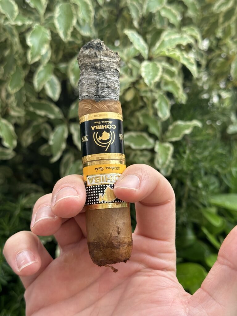 Close-up of a hand holding a burned cigar with a gray ash tip, Cohiba band visible, outdoor green foliage in the background